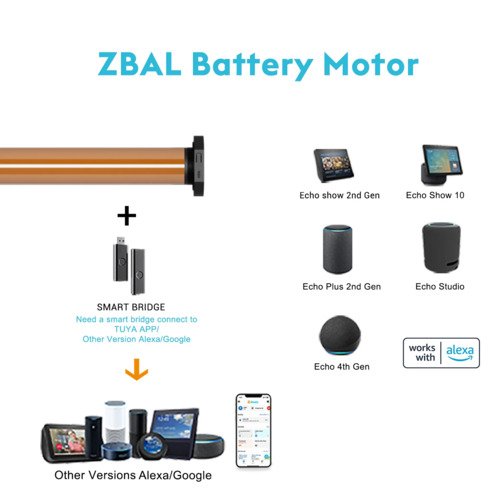ZBAL Motor